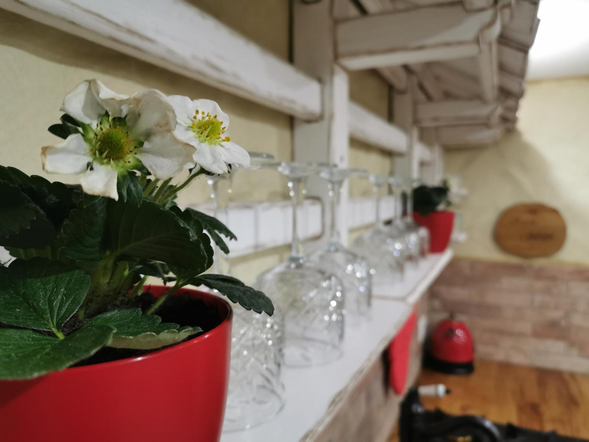 布莱德House Gabrijel With Four Seasons Outdoor Kitchen别墅 外观 照片