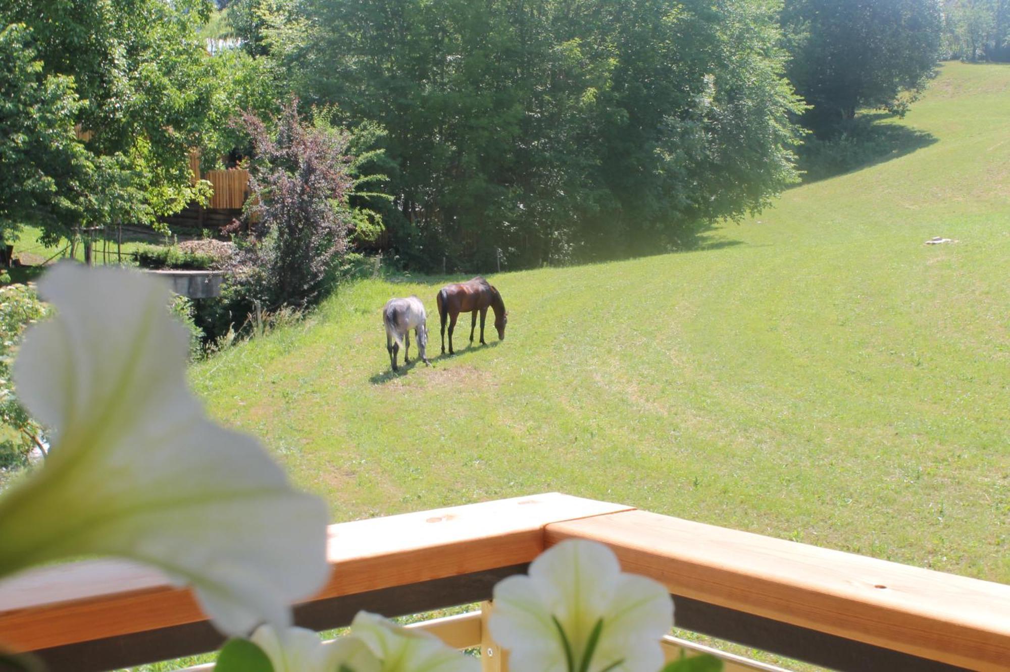 布莱德House Gabrijel With Four Seasons Outdoor Kitchen别墅 外观 照片